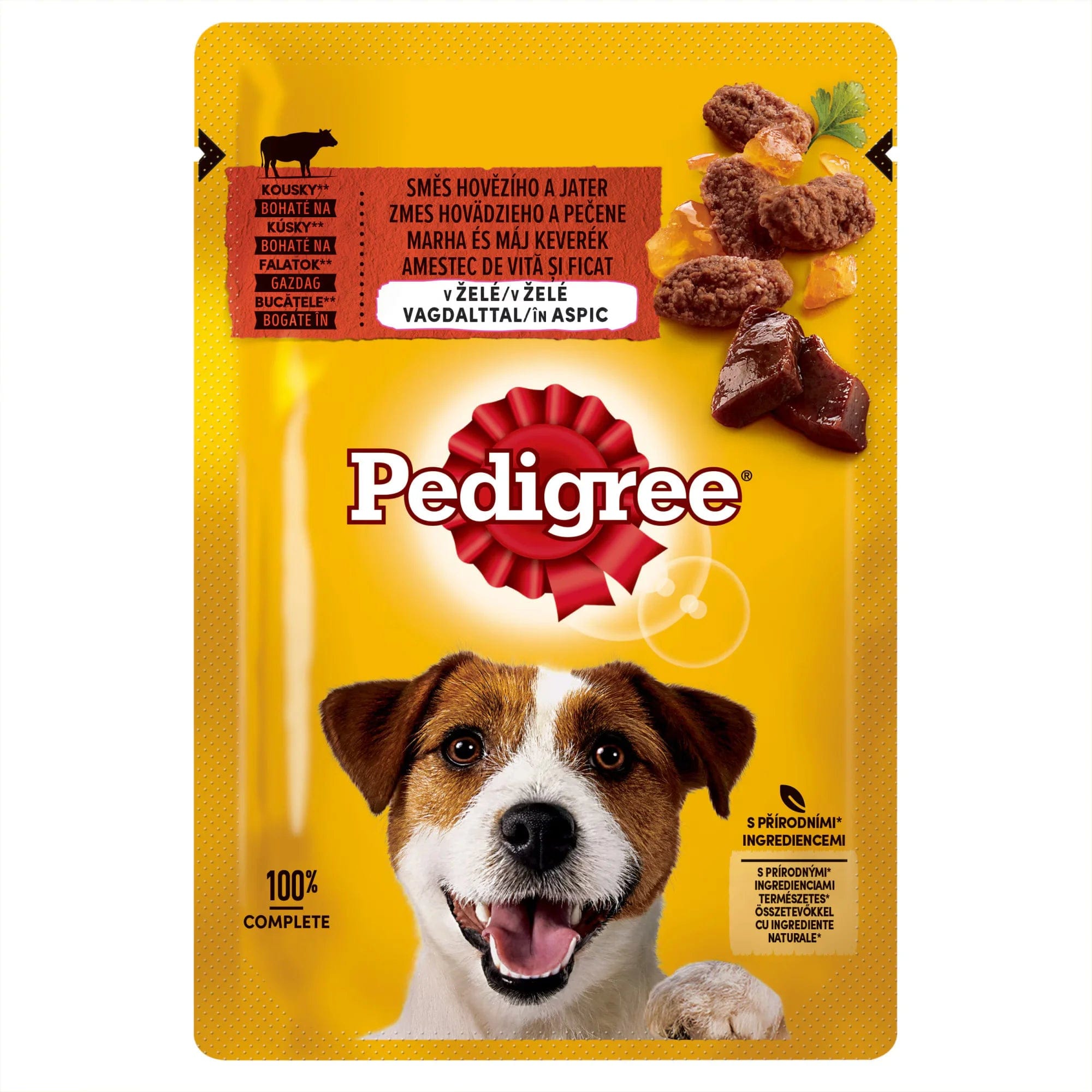OBLIO DISCOUNTER MANCARE CAINI PEDIGREE 100G VITA (24)
