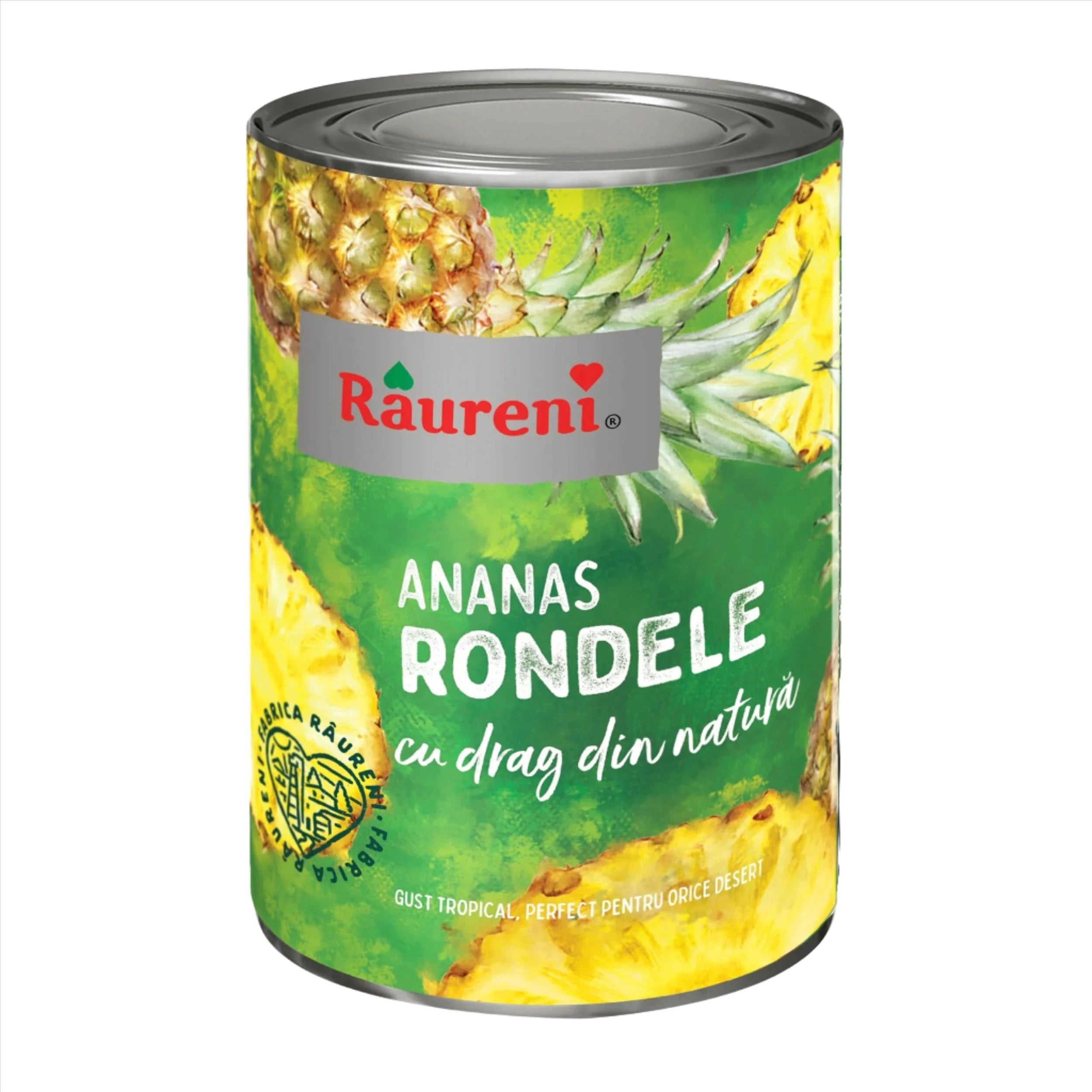 OBLIO DISCOUNTER COMPOT RAURENI 567G ANANAS RONDELE (24)