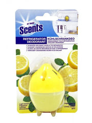 OBLIO DISCOUNTER AT HOME ABSORBANT 30G MIROSURI FRIGIDER (12)